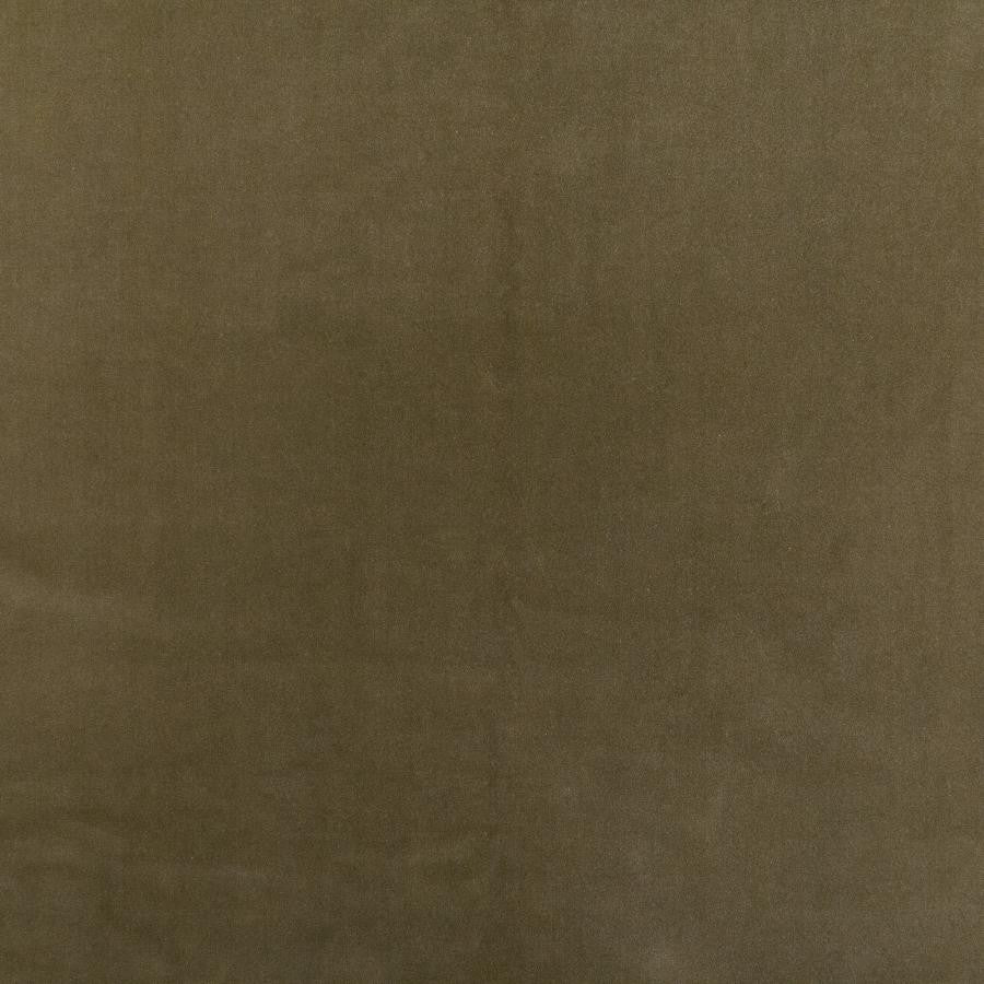 Bennett # 702 Flax by Maxwell Fabric Telafina Season Xvii 100% COTTON INDIA 56" - Fabric Carolina -
