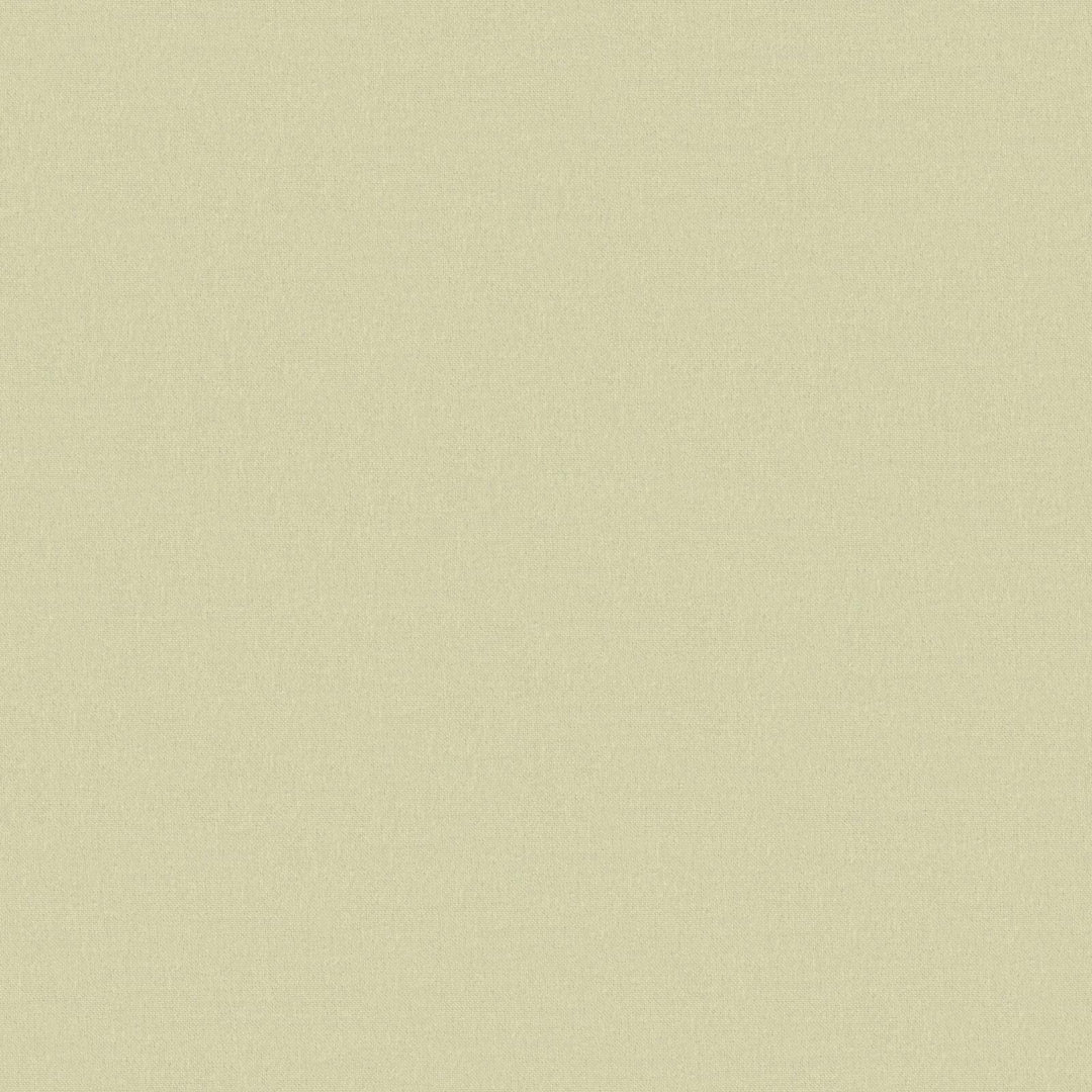 Brewer # 346 Lime by Maxwell Designer Fabric Sheer Escape 100% RECYCLED POLYESTER INDIA 125" - Swanky Fabrics -
