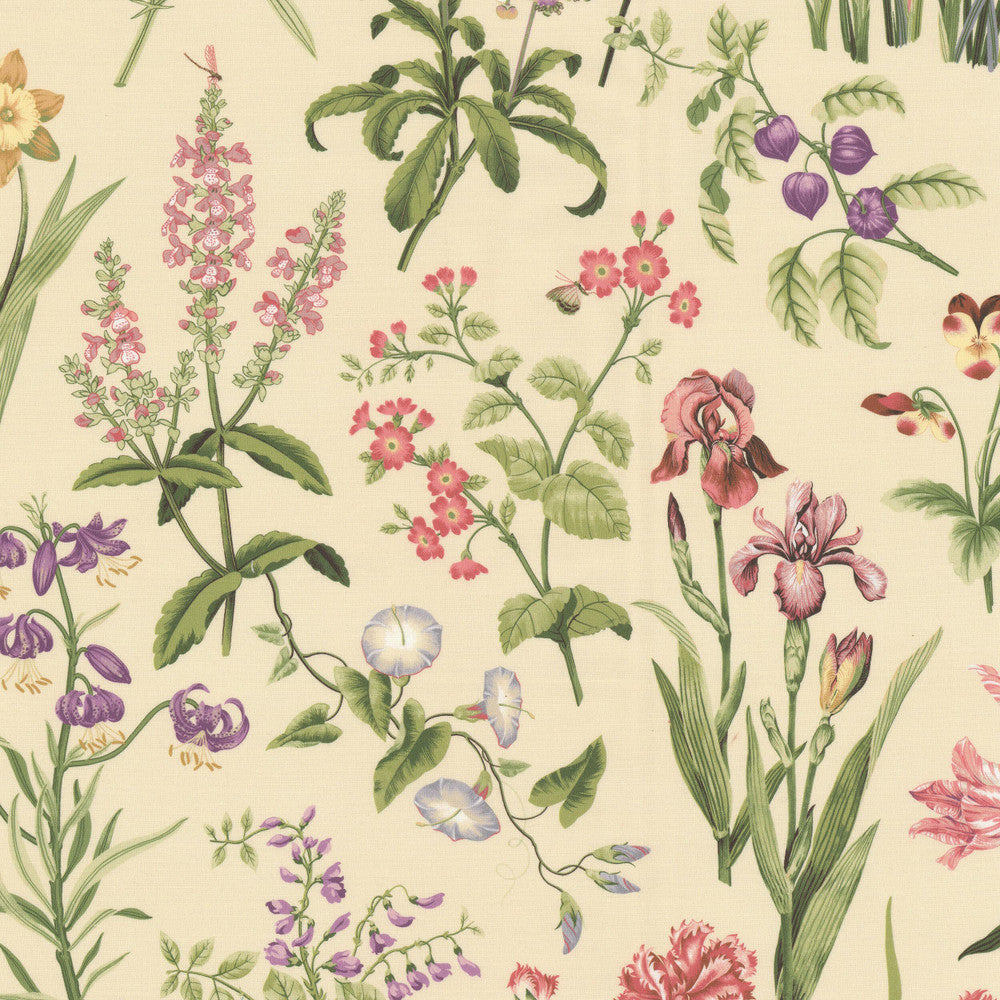 Bianca 1 Hibiscus by Stout Fabric RAINBOW LIBRARY GINGER/POPPY 100%COT PERU Horizontal: 27.000 and Vertical: 27.000 54 in - Fabric Carolina -