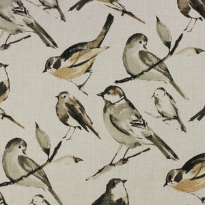 Birdwatcher Charcoal by Richloom Fabric