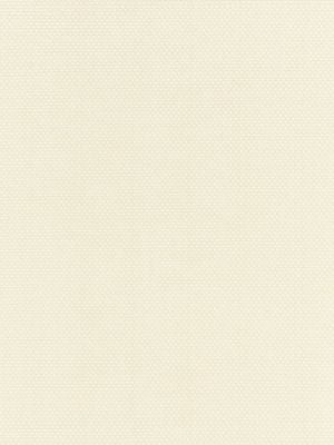 <p>Berkshire Weave Ecru BKK651150001 by Scalamandre Fabric</p><p><strong>Required Minimum Quantity Purchase: Fabrics by the yard 1 YARD MINIMUM </p><p>Book: BORIS KROLL - CALYPSO - CRYPTON HOME</p><p>Content: 100% COTTON</p><p>Origin: U.S.A.</p><p>Performance: HEAVY DUTY</p><p>Repeat: Horizontal: and Vertical: </p><p>Width: 57.13</p>