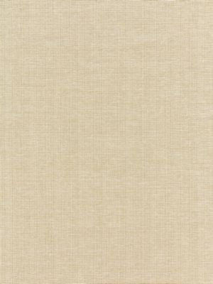 Thompson Chenille Wheat BKK651140002 by Boris Kroll Designer Fabric CALYPSO - CRYPTON HOME 53.5% COTTON 46.5% RAYON U.S.A. HEAVY DUTY Horizontal: and Vertical: 58.25 - Swanky Fabrics -