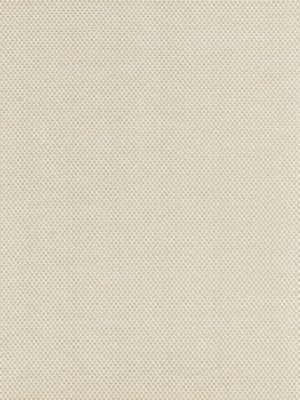 Berkshire Weave Sand BKK651150002 by Boris Kroll Designer Fabric BORIS KROLL - CALYPSO - CRYPTON HOME 100% COTTON U.S.A. HEAVY DUTY Horizontal: and Vertical: 57.13 - Swanky Fabrics -