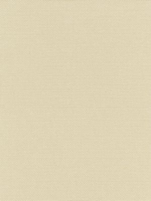 <p>Cortland Weave Sand BKK651190002 by Scalamandre Fabric</p><p><strong>Required Minimum Quantity Purchase: Fabrics by the yard 1 YARD MINIMUM </p><p>Book: CALYPSO - CRYPTON HOME</p><p>Content: 1% PIR POLYESTER, 66% COTTON 32% POLYESTER 1% PCR POLYESTER</p><p>Origin: U.S.A.</p><p>Performance: HEAVY DUTY</p><p>Repeat: Horizontal: 4.375" and Vertical: .375"</p><p>Width: 55</p>