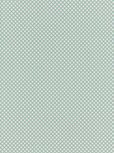Scalamandre Fabric Bellaire Trellis Mineral