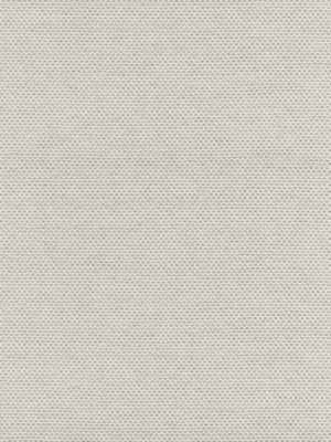 Berkshire Weave Nickel BKK651150003 by Boris Kroll Designer Fabric BORIS KROLL - CALYPSO - CRYPTON HOME 100% COTTON U.S.A. HEAVY DUTY Horizontal: and Vertical: 57.13 - Swanky Fabrics -
