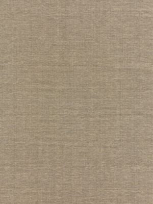 Thompson Chenille Taupe BKK651140005 by Boris Kroll Designer Fabric CALYPSO - CRYPTON HOME 53.5% COTTON 46.5% RAYON U.S.A. HEAVY DUTY Horizontal: and Vertical: 58.25 - Swanky Fabrics -