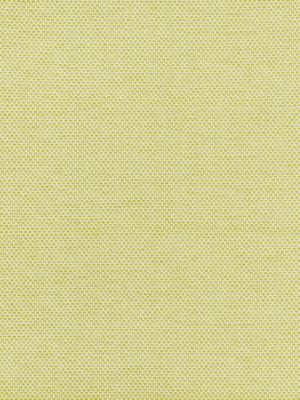 <p>Berkshire Weave Lime BKK651150005 by Scalamandre Fabric</p><p><strong>Required Minimum Quantity Purchase: Fabrics by the yard 1 YARD MINIMUM </p><p>Book: BORIS KROLL - CALYPSO - CRYPTON HOME</p><p>Content: 100% COTTON</p><p>Origin: U.S.A.</p><p>Performance: HEAVY DUTY</p><p>Repeat: Horizontal: and Vertical: </p><p>Width: 57.13</p>