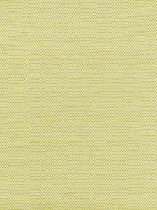 Scalamandre Fabric Berkshire Weave Lime