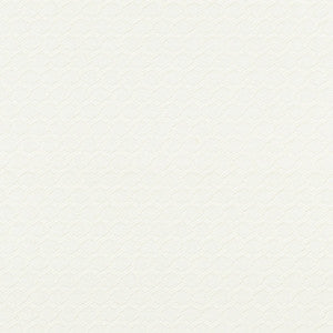 Chain Weave/Oyster Bk 0001K65120 by Boris Kroll Fabric