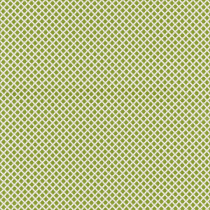 Bellaire Trellis/Leaf Bk 0003K65121 by Boris Kroll Fabric