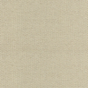 Berkshire Weave/Fawn Bk 0004K65115 by Boris Kroll Fabric