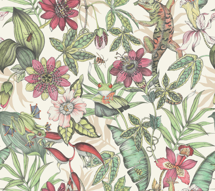 Rainforest Multicolor Wallpaper by York Wallcoverings Blooms Covers about 60.8 square feet 27-in by 27-ft long roll Unpasted 24 - Fabric Carolina -