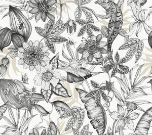 Rainforest White & Charcoal Wallpaper by York Wallcoverings