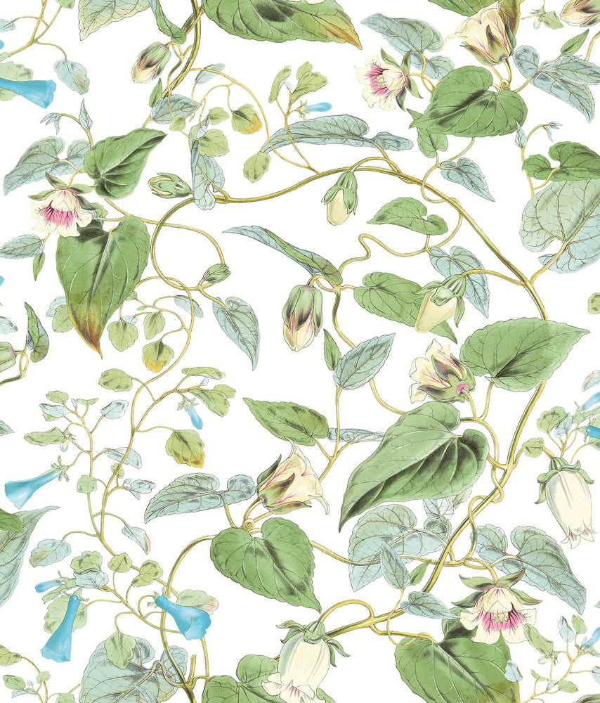 Moon Flower White Wallpaper by York Wallcoverings Blooms Covers about 56.4 square feet 20.5-in by 33-ft long roll Unpasted 24 - Fabric Carolina -