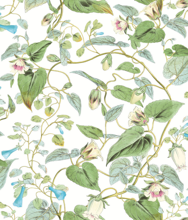 Moon Flower White Wallpaper by York Wallcoverings Blooms Covers about 56.4 square feet 20.5-in by 33-ft long roll Unpasted 24 - Fabric Carolina -