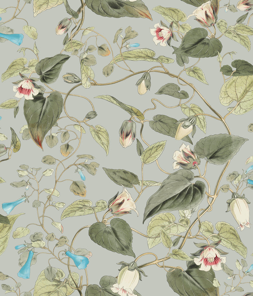 Moon Flower Dove Wallpaper by York Wallcoverings Blooms Covers about 56.4 square feet 20.5-in by 33-ft long roll Unpasted 24 - Fabric Carolina -