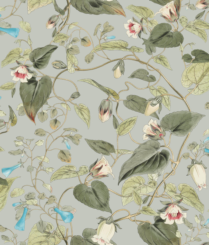 Moon Flower Dove Wallpaper by York Wallcoverings Blooms Covers about 56.4 square feet 20.5-in by 33-ft long roll Unpasted 24 - Fabric Carolina -