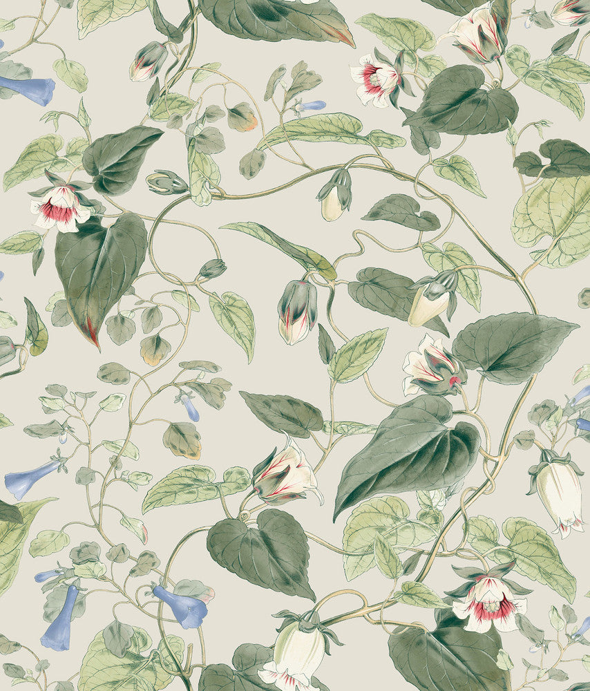 Moon Flower Light Taupe Wallpaper by York Wallcoverings Blooms Covers about 56.4 square feet 20.5-in by 33-ft long roll Unpasted 24 - Fabric Carolina -