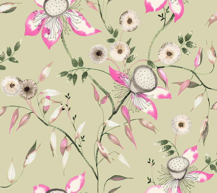 Dream Blossom Light Green Wallpaper by York Wallcoverings Blooms Covers about 60.8 square feet 27-in by 27-ft long roll Unpasted 24 - Fabric Carolina -