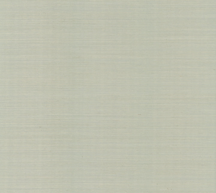 Maguey Sisal Green Wallpaper by Ronald Redding Designer Sisals Fan Deck Covers about 72 square feet 36-in by 24-ft long roll Unpasted 0 - Fabric Carolina -