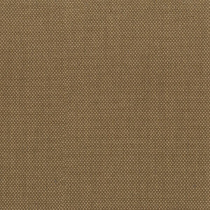Blackstone 4 Cork by Sunbrella Fabric