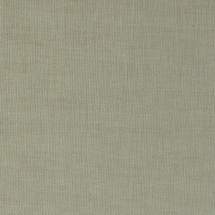 Blaze 32J6891 by JF Fabric Winning Weaves IV 92% Polyester, 8% Cotton China 150000 Horizontal: and Vertical: 57 - Fabric Carolina -