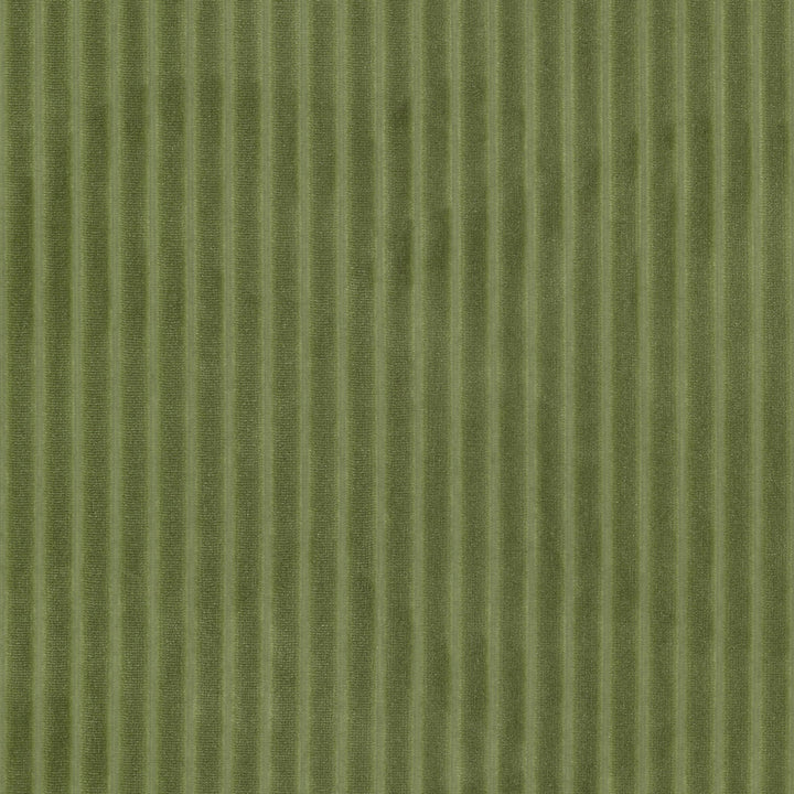 Blink 2 Chive by Stout Fabric Stout Fabric Blink 2 ChiveFabric RAINBOW LIBRARY PEAR/JUNGLE 100%POL CHINA </p><p>Repeat: H: 0.750, V: 0.000 57 in - Fabric Carolina -