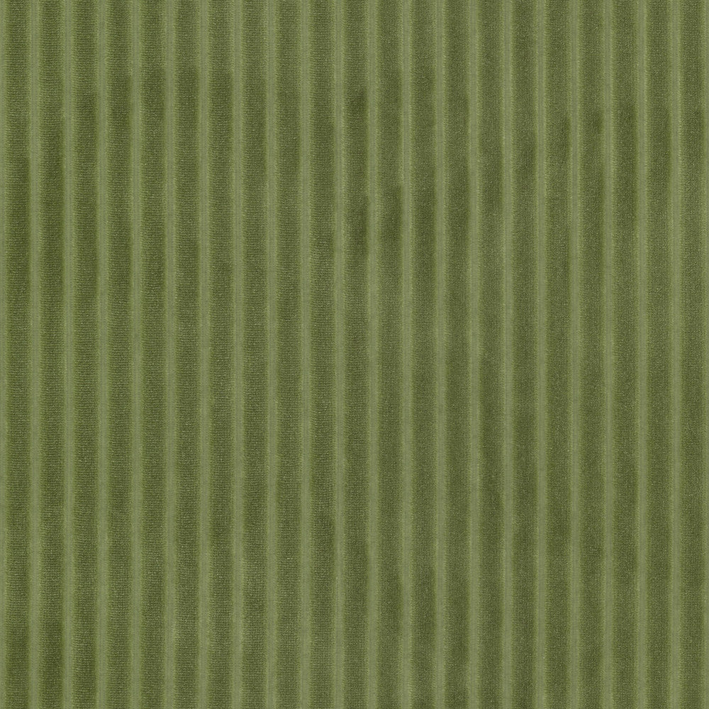 Blink 2 Chive by Stout Fabric Stout Fabric Blink 2 ChiveFabric RAINBOW LIBRARY PEAR/JUNGLE 100%POL CHINA </p><p>Repeat: H: 0.750, V: 0.000 57 in - Fabric Carolina -