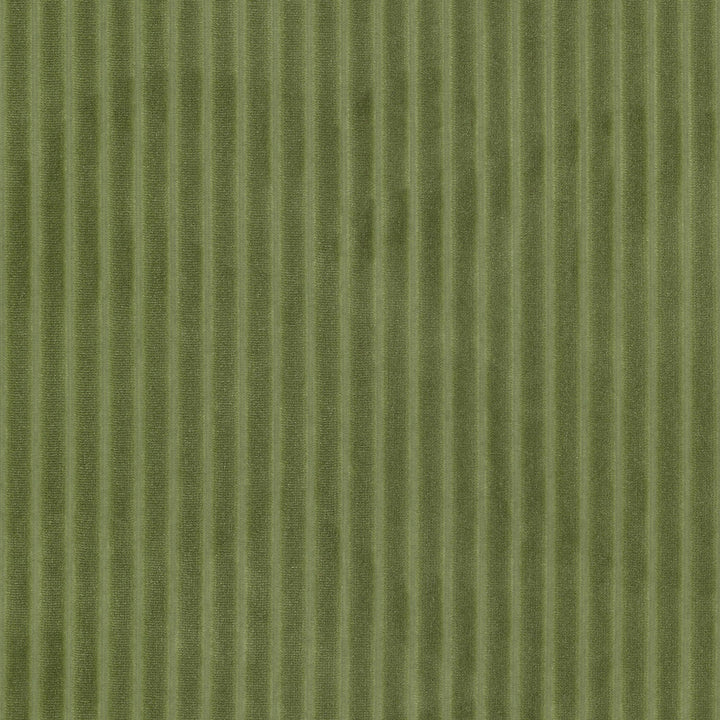 Blink 2 Chive by Stout Fabric Stout Fabric Blink 2 ChiveFabric RAINBOW LIBRARY PEAR/JUNGLE 100%POL CHINA </p><p>Repeat: H: 0.750, V: 0.000 57 in - Fabric Carolina -