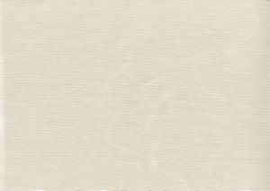 Bliss Ecru by Norbar Fabric BLISS 100% INHERENTLY FLAME INDIA 54 - Fabric Carolina -