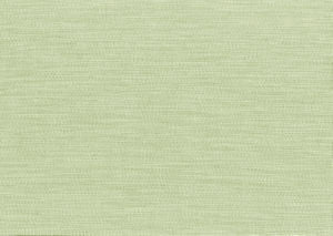 Bliss Kiwi by Norbar Fabric