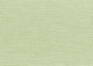 Bliss Kiwi by Norbar Designer Fabric BLISS 100% INHERENTLY FLAME INDIA 54 - Swanky Fabrics -