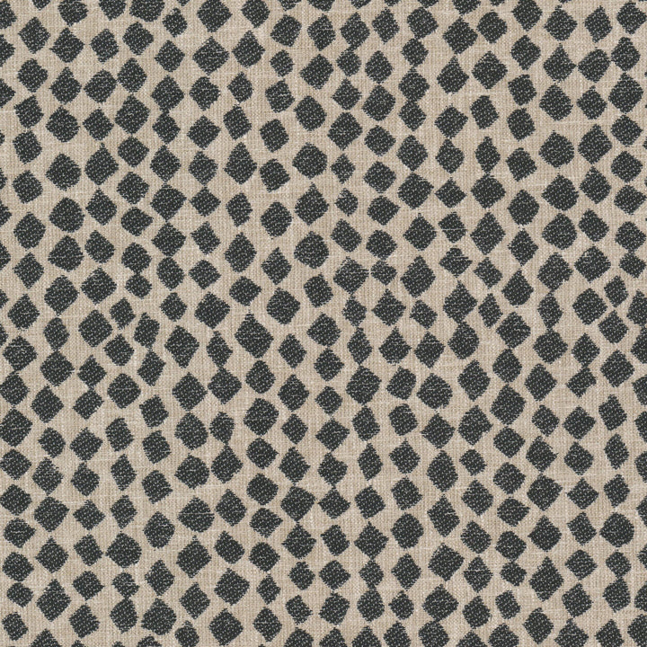 Bluefield 2 Ebony by Stout Fabric RAINBOW LIBRARY ALMOND/GRANITE 67%POL 33%COT INDIA Horizontal: 9.250 and Vertical: 11.375 54 in - Fabric Carolina -