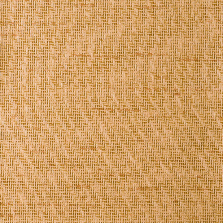 Blythe-6 by Kravet Design Fabric POLY VINYL CHLORIDE - 75%;POLYESTER - 16%;COTTON - 9% Korea, Republic of HEAVY Horizontal: 0 and Vertical: 0 54 - Fabric Carolina -