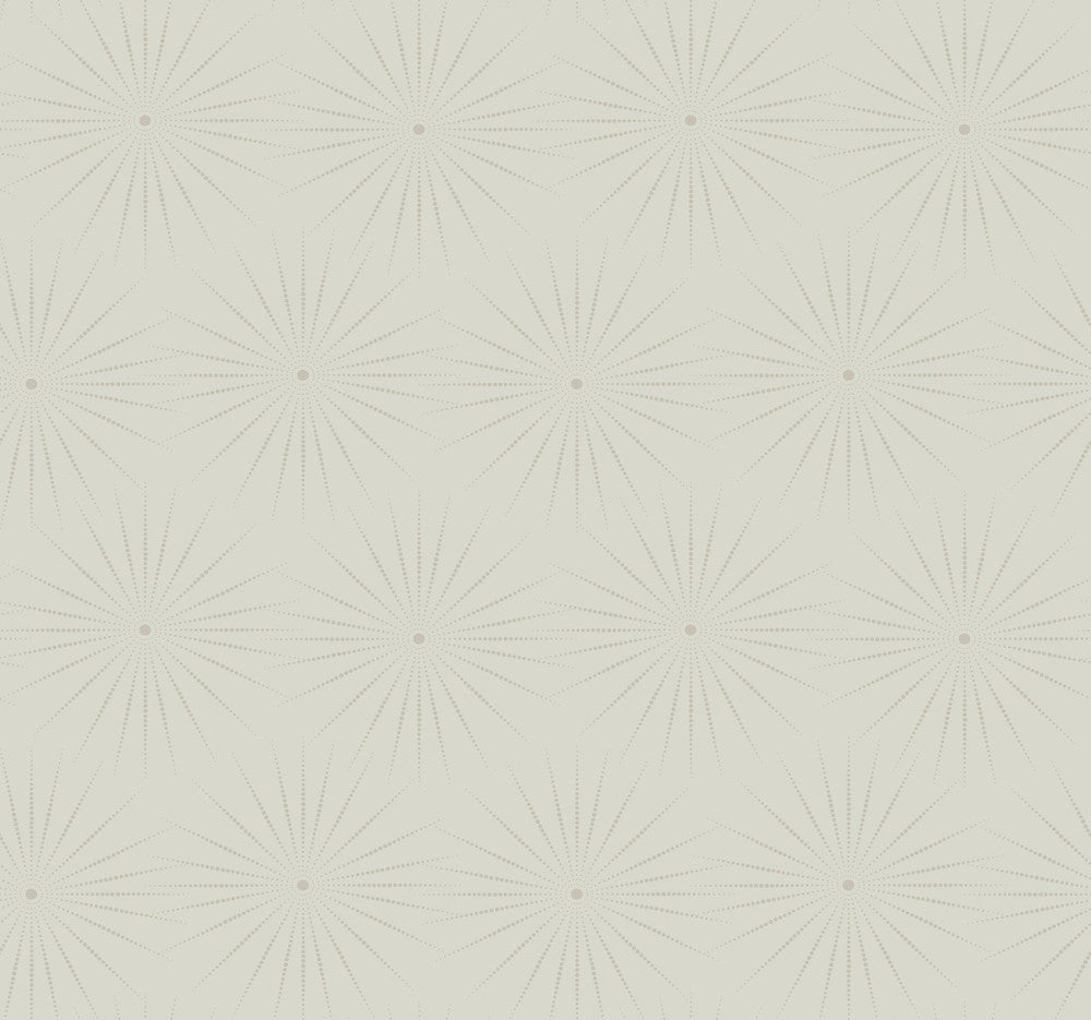 Starlight Grey Wallpaper by Antonina Vella Antonina Vella Boho Luxe Covers about 60.8 square feet 27-in by 27-ft long roll Unpasted 25.25 - Fabric Carolina -