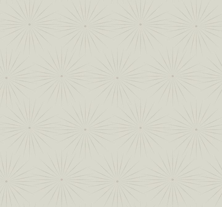 Starlight Grey Wallpaper by Antonina Vella Antonina Vella Boho Luxe Covers about 60.8 square feet 27-in by 27-ft long roll Unpasted 25.25 - Fabric Carolina -