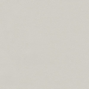 Boat Top 2366 White 54" by ABBEYSHEA Fabric