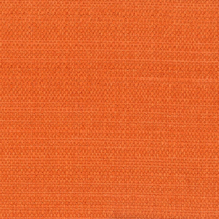 Bobsled 1 Russet by Stout Fabric RAINBOW LIBRARY TANGERINE/CLOVE 84%POL 16%SVI INDIA Horizontal: 0 and Vertical: 0 54 in - Fabric Carolina -