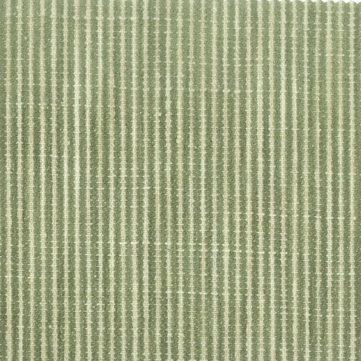 Bohemia 2 Moss by Stout Fabric COMFORTABLE LIVING ALOE/FERN 100%POL INDIA FLAME RETARDANT-U.F.A.C. CLASS 1 FLAME RETARDANT-N.F.P.A. 260A CLASS 1 CATB 117-2013 WYZENBEEK 9 000 DOUBLE RUB WEAR TEST (MEDIUM DUTY) Horizontal: 0.250 and Vertical: 0.000 54 in - Fabric Carolina -