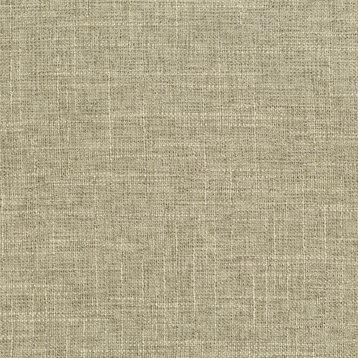 Beach 62 Limestone by ABBEYSHEA Fabric 100% Polyester CN 60,000 Double Rubs (Wyzenbeek) </p><p>Repeat: Horizontal: and Vertical: 56 in. (142 cm) - Fabric Carolina -