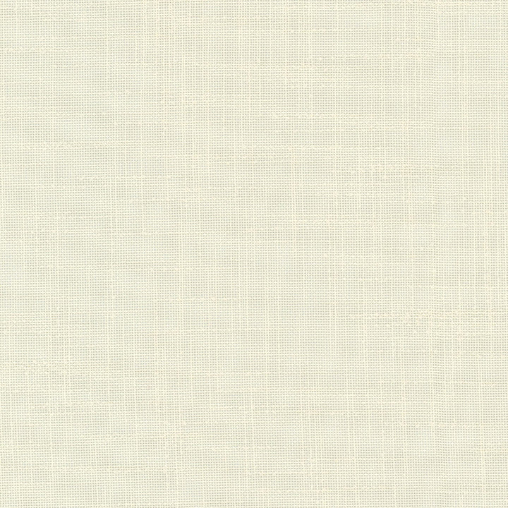 Bonkers 1 Natural by Stout Fabric QUIET OASIS 100%POL INDONESIA MARTINDALE WEAR TEST (4 000 CIRCULAR RUBS) Horizontal: 0.000 and Vertical: 0.000 118 in - Fabric Carolina -