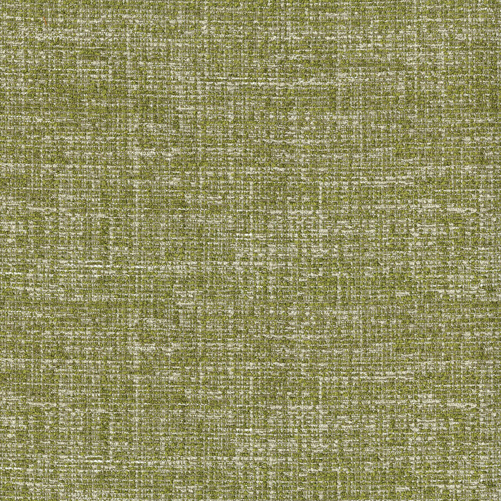 Blast 202 Wasabi by ABBEYSHEA Fabric 100% Polyester CN 100,000 Double Rubs (Wyzenbeek) </p><p>Repeat: Horizontal: and Vertical: 56 in. (142 cm) - Fabric Carolina -