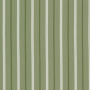 Boretti 1 Pistachio by Stout Fabric