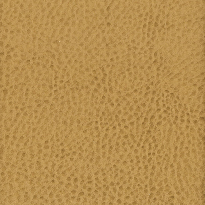Boscobel 2 Maple by Stout Fabric LEATHER LOOKS III PERFORMANCE 70%PVC 25%POL 5%POU CHINA CATB 117-2013 PERFORMANCE RATED FABRIC WYZENBEEK 80 000 DOUBLE RUB WEAR TEST (HEAVY DUTY) Horizontal: 0 and Vertical: 0 54 in - Fabric Carolina -