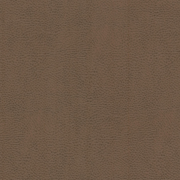 Boscobel 4 Bark by Stout Fabric LEATHER LOOKS III PERFORMANCE 70%PVC 25%POL 5%POU CHINA Horizontal: 0.000 and Vertical: 0.000 54 in - Fabric Carolina -