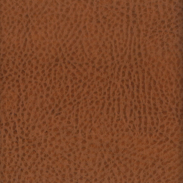 Boscobel 5 Mocha by Stout Fabric LEATHER LOOKS III PERFORMANCE 70%PVC 25%POL 5%POU CHINA CATB 117-2013 PERFORMANCE RATED FABRIC WYZENBEEK 80 000 DOUBLE RUB WEAR TEST (HEAVY DUTY) Horizontal: 0 and Vertical: 0 54 in - Fabric Carolina -