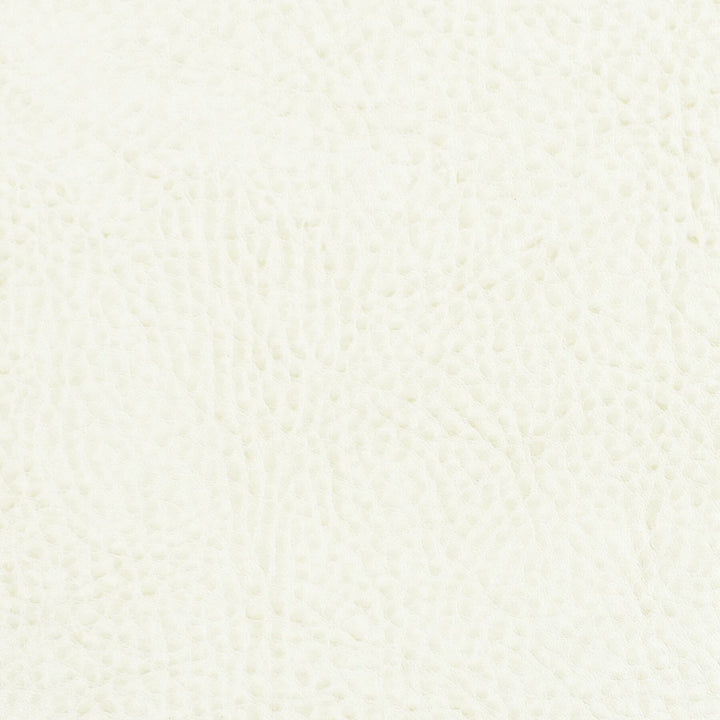Boscobel 6 Bone by Stout Fabric Leather Looks Iii Performance 70% Polyvinylchloride 25% Polyester 5% Polyurethane CHINA CATB 117-2013 PERFORMANCE RATED FABRIC WYZENBEEK 80 000 DOUBLE RUB WEAR TEST (HEAVY DUTY) Horizontal: 0 and Vertical: 0 54 in - Fabric Carolina -