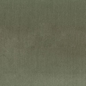 Boulder Cypress 27 by Norbar Designer Fabric MOHAWK 100% POLYESTER CHINA 56 - Swanky Fabrics -