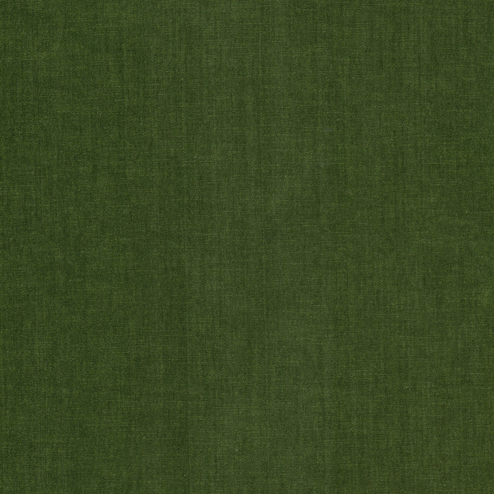 Bountiful 11 Chive by Stout Fabric Stout Fabric Bountiful 11 ChiveFabric Chenille Chic 63%Pol 37%Cot India </p><p>Repeat: H: 0, V: 13.5 54 in - Fabric Carolina -
